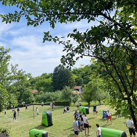Vila Davidovic-Fruska Gora Mandelos Экстерьер фото