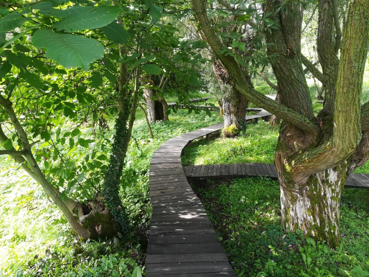 Vila Davidovic-Fruska Gora Mandelos Экстерьер фото