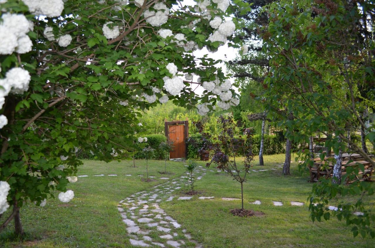 Vila Davidovic-Fruska Gora Mandelos Экстерьер фото