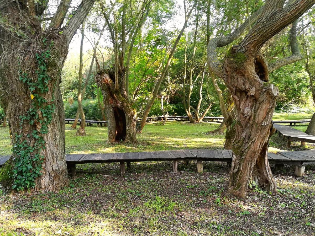 Vila Davidovic-Fruska Gora Mandelos Экстерьер фото