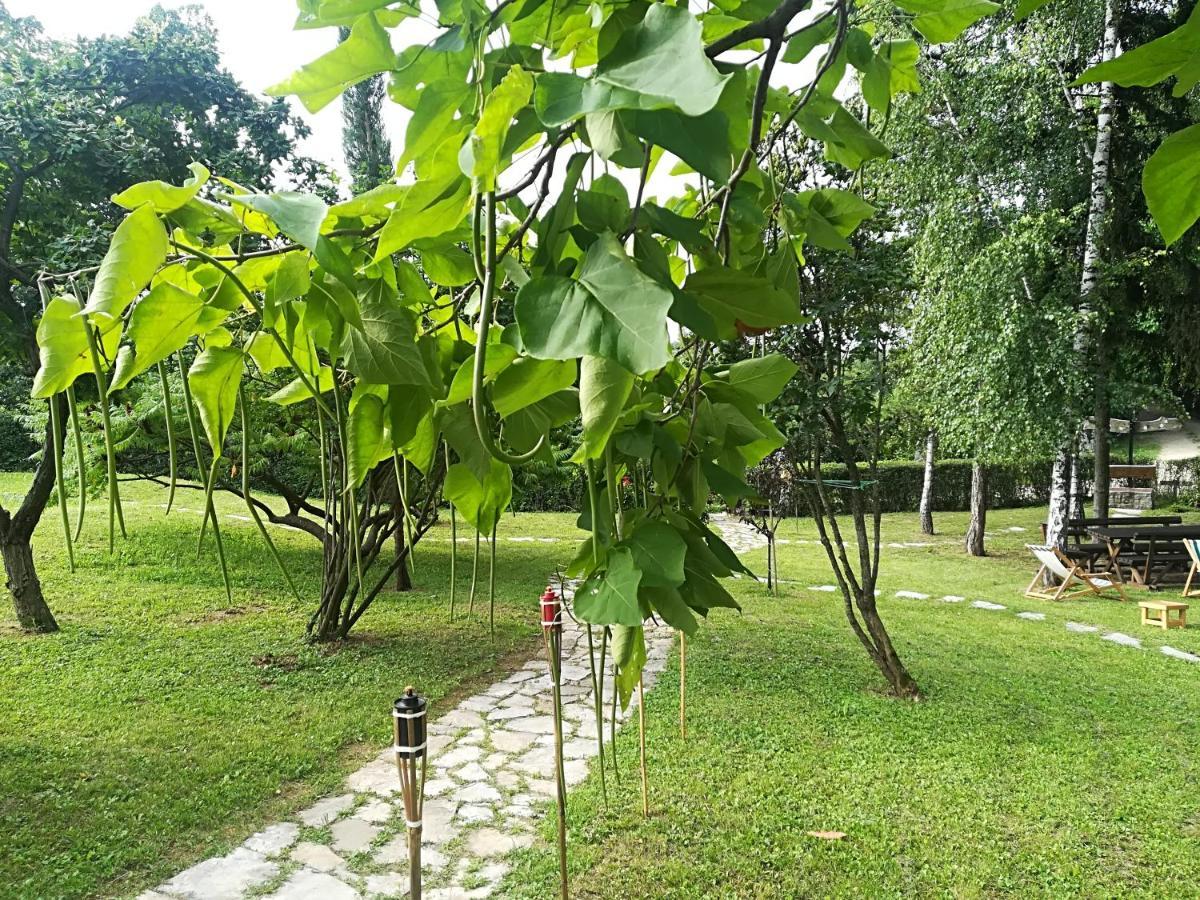 Vila Davidovic-Fruska Gora Mandelos Экстерьер фото