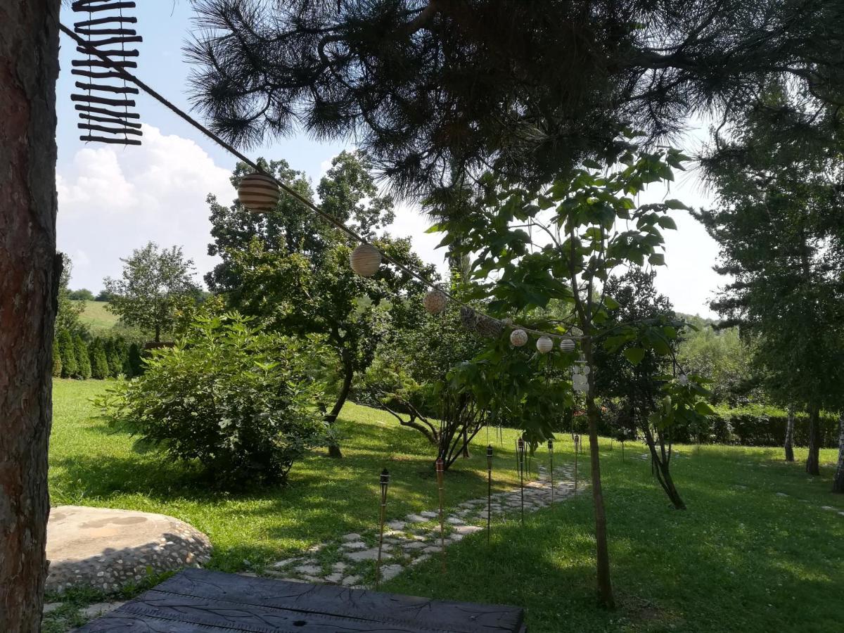 Vila Davidovic-Fruska Gora Mandelos Экстерьер фото
