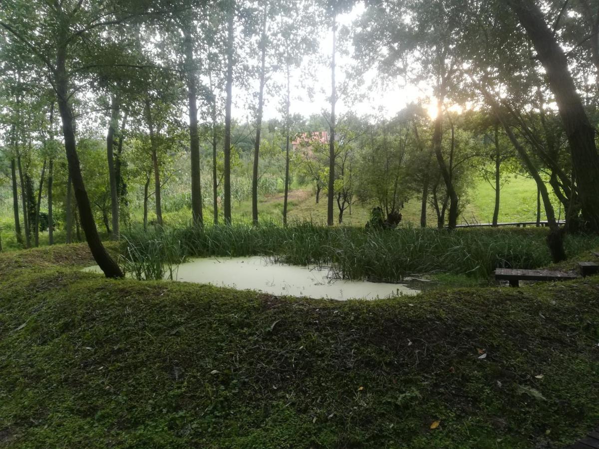 Vila Davidovic-Fruska Gora Mandelos Экстерьер фото
