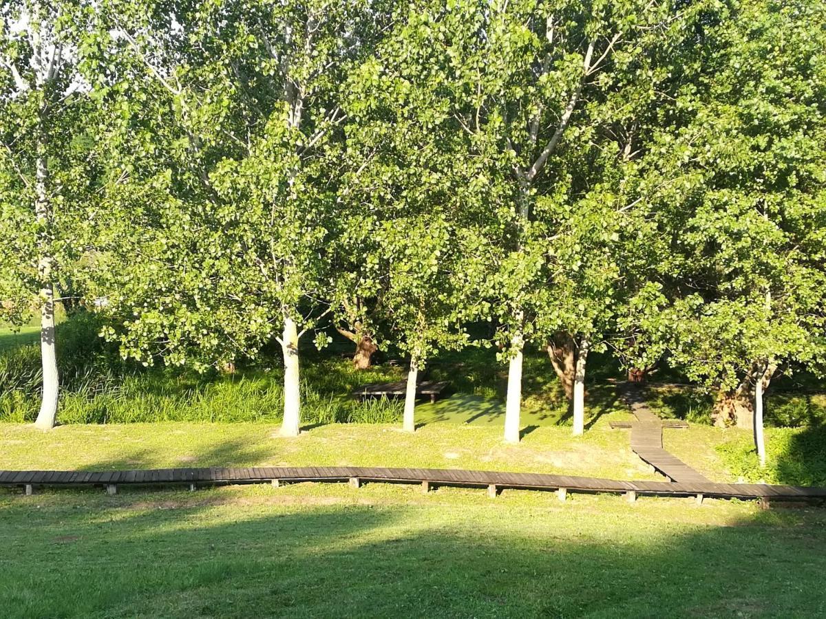 Vila Davidovic-Fruska Gora Mandelos Экстерьер фото