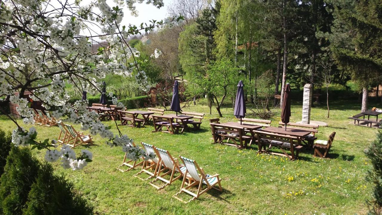 Vila Davidovic-Fruska Gora Mandelos Экстерьер фото