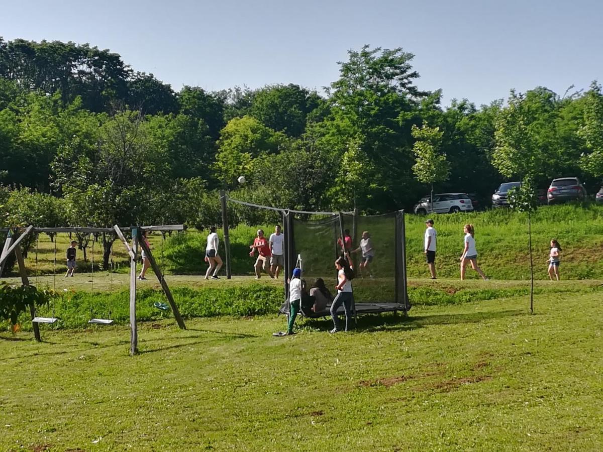 Vila Davidovic-Fruska Gora Mandelos Экстерьер фото