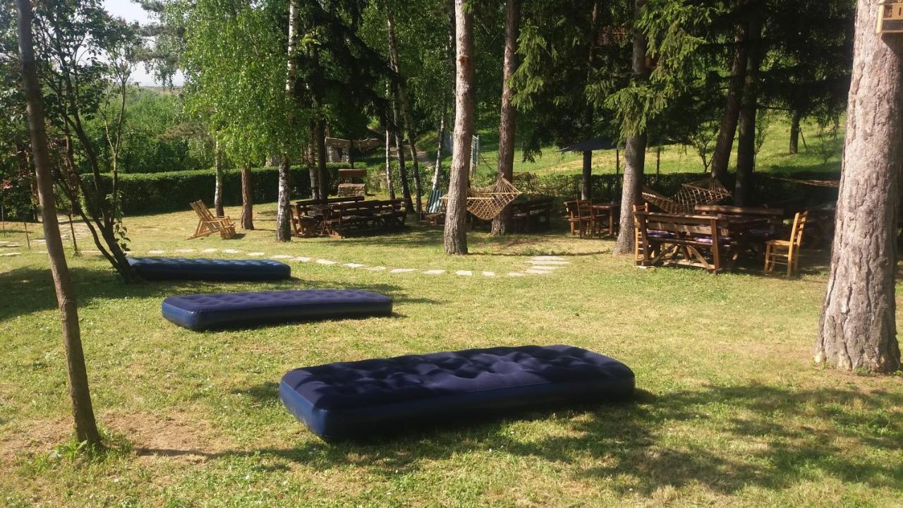 Vila Davidovic-Fruska Gora Mandelos Экстерьер фото