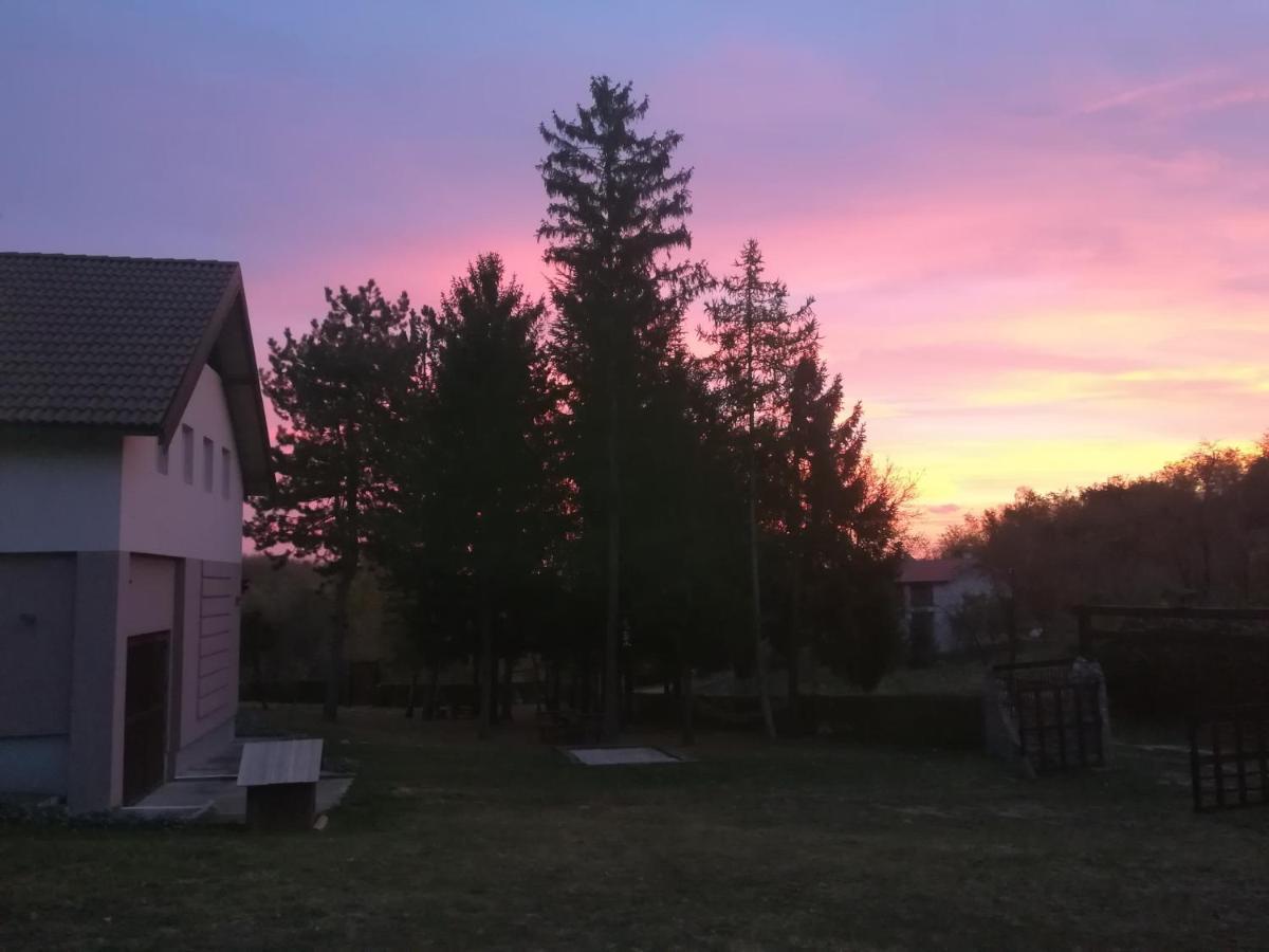 Vila Davidovic-Fruska Gora Mandelos Экстерьер фото
