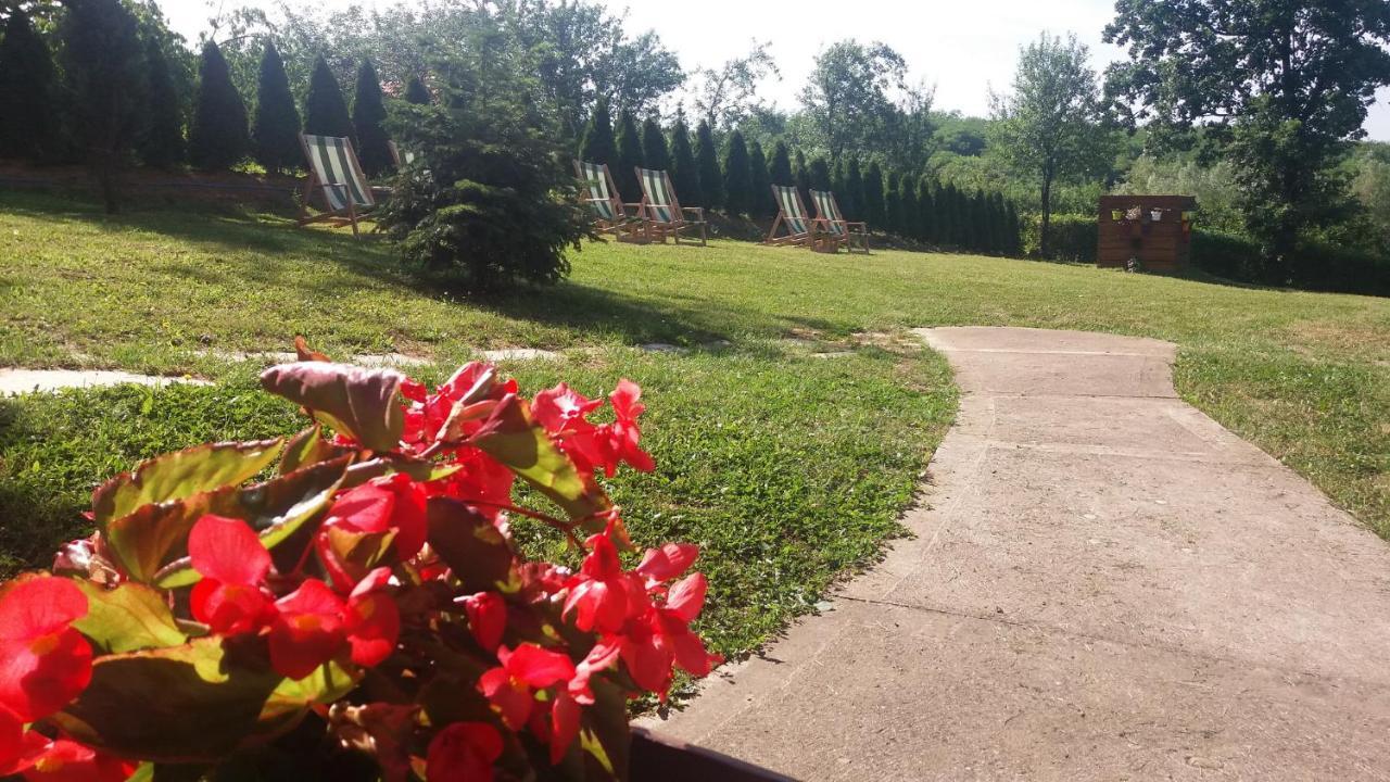 Vila Davidovic-Fruska Gora Mandelos Экстерьер фото