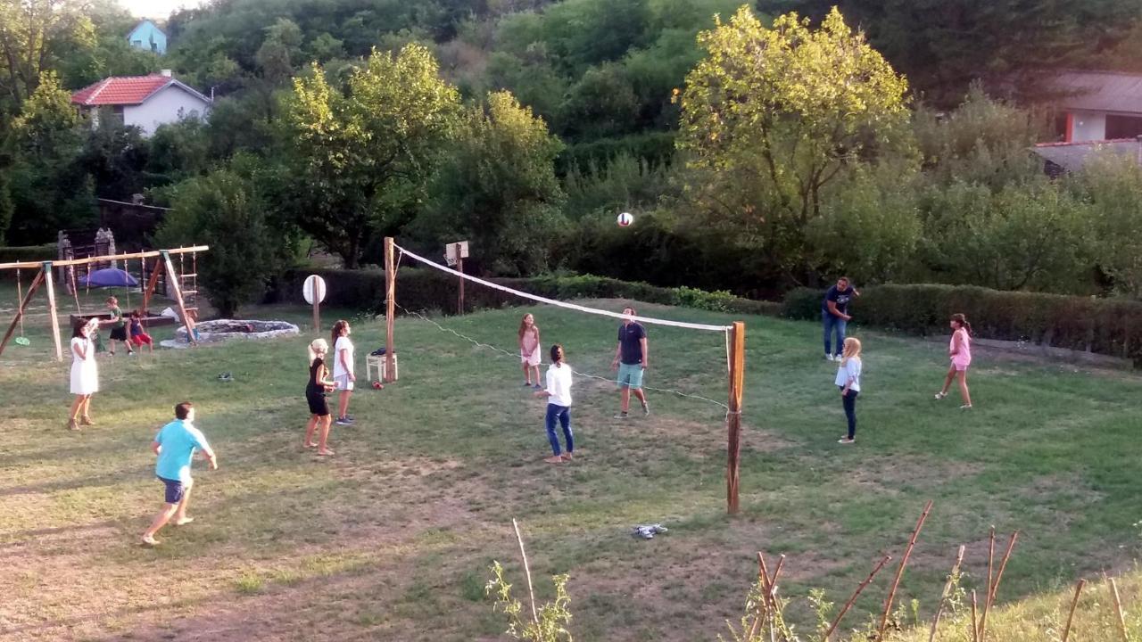 Vila Davidovic-Fruska Gora Mandelos Экстерьер фото