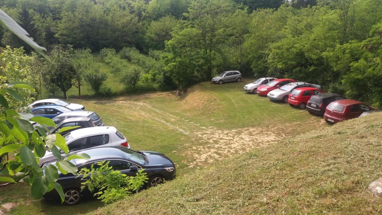 Vila Davidovic-Fruska Gora Mandelos Экстерьер фото