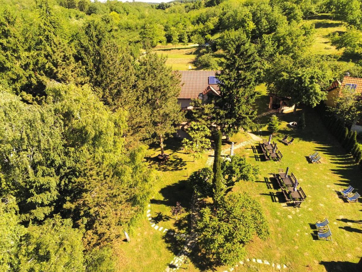Vila Davidovic-Fruska Gora Mandelos Экстерьер фото