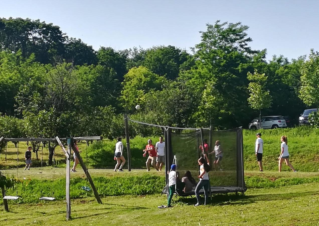 Vila Davidovic-Fruska Gora Mandelos Экстерьер фото