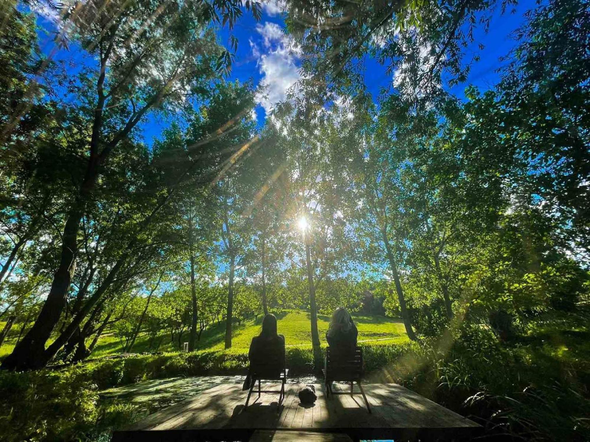 Vila Davidovic-Fruska Gora Mandelos Экстерьер фото