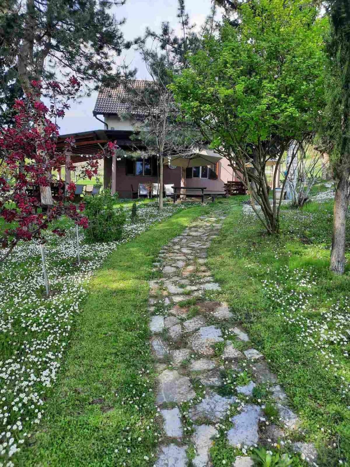 Vila Davidovic-Fruska Gora Mandelos Экстерьер фото