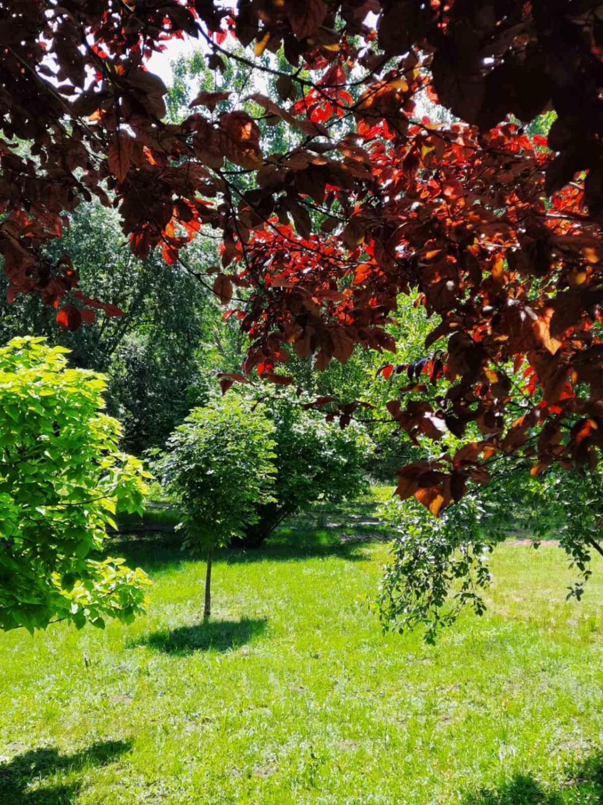 Vila Davidovic-Fruska Gora Mandelos Экстерьер фото