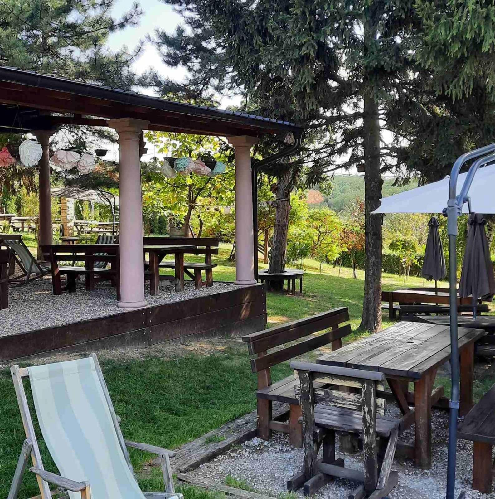 Vila Davidovic-Fruska Gora Mandelos Экстерьер фото