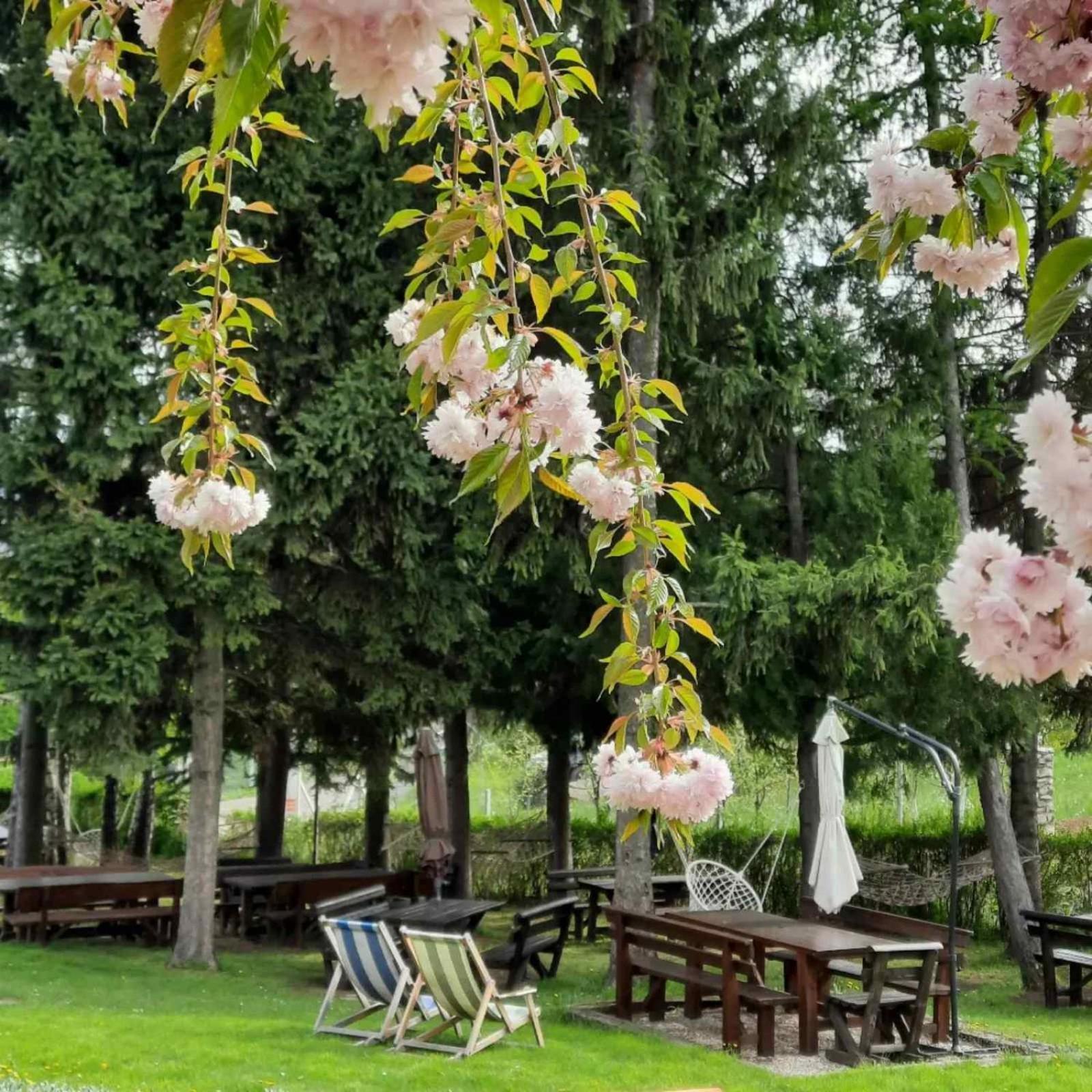 Vila Davidovic-Fruska Gora Mandelos Экстерьер фото