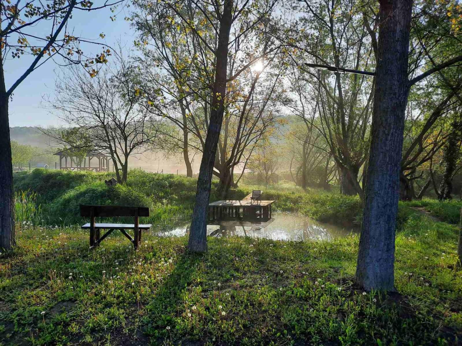 Vila Davidovic-Fruska Gora Mandelos Экстерьер фото