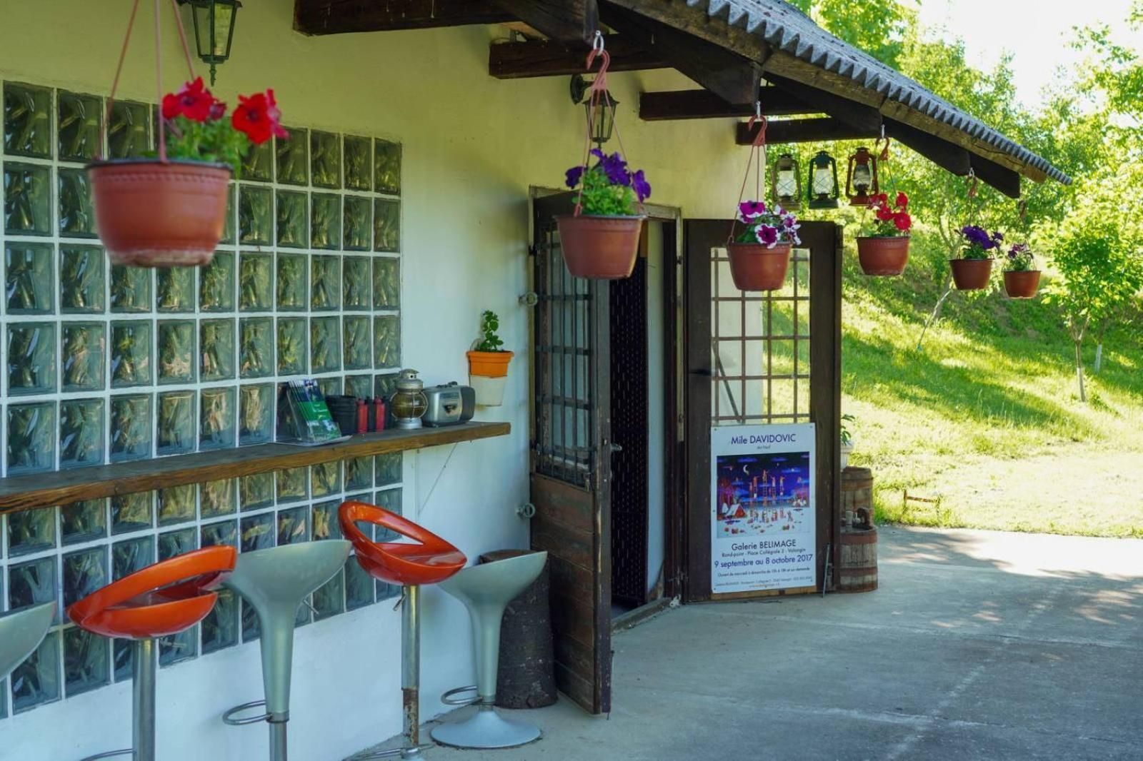 Vila Davidovic-Fruska Gora Mandelos Экстерьер фото