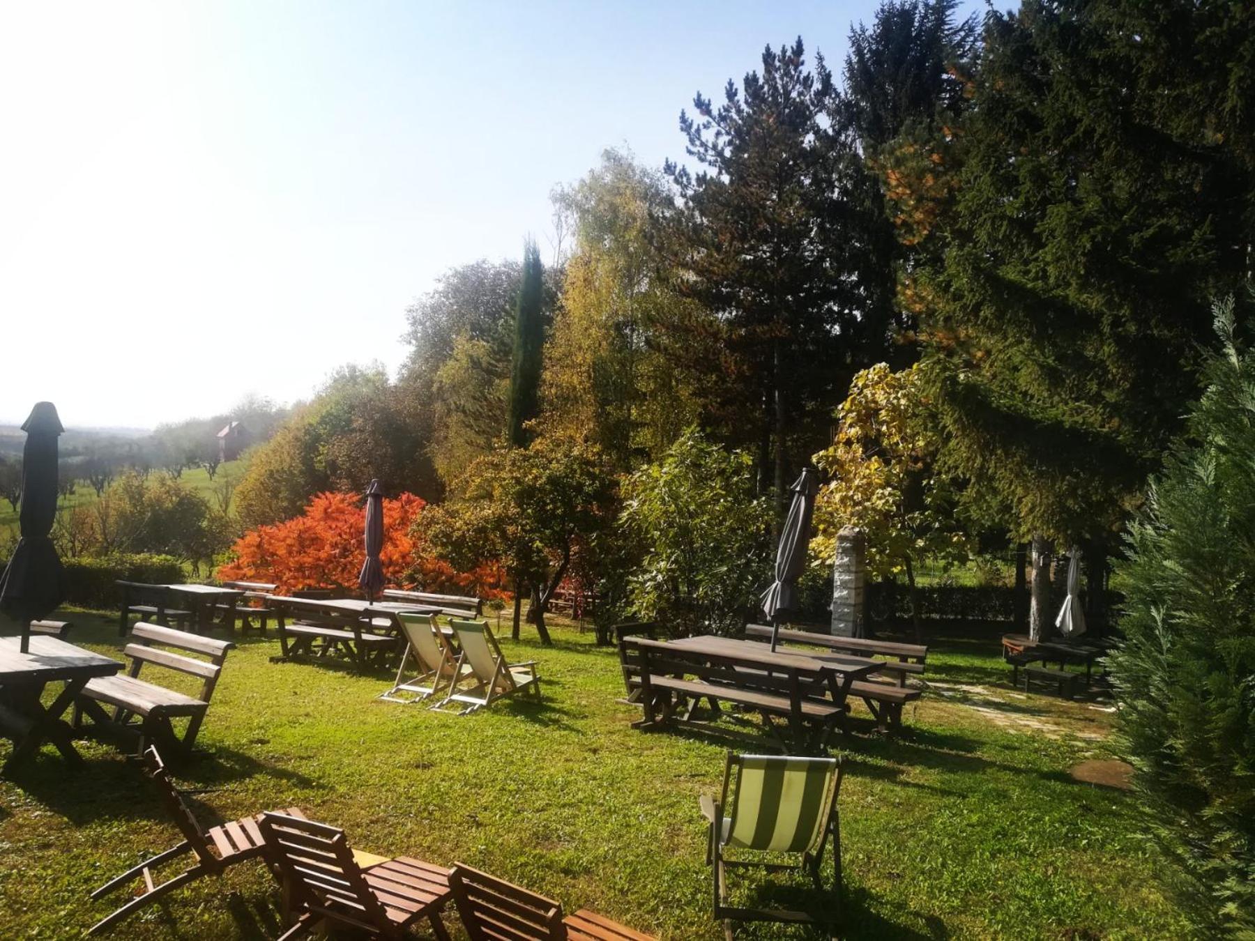 Vila Davidovic-Fruska Gora Mandelos Экстерьер фото