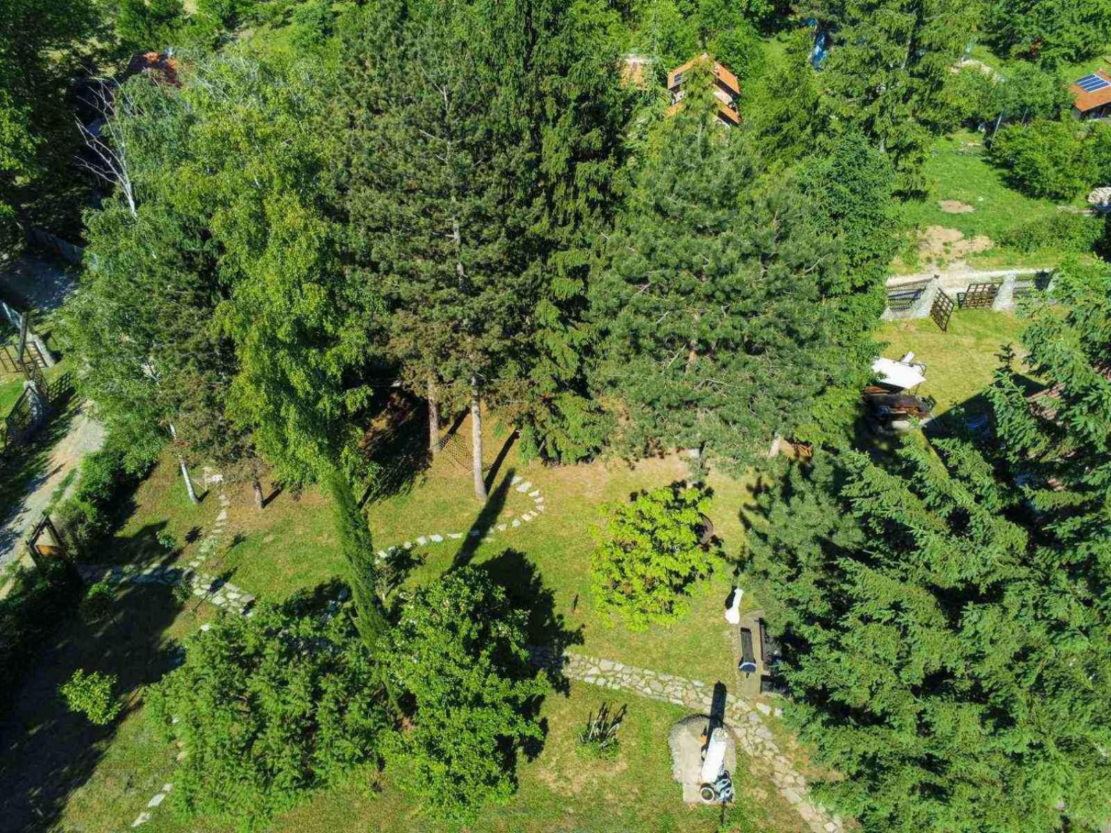 Vila Davidovic-Fruska Gora Mandelos Экстерьер фото