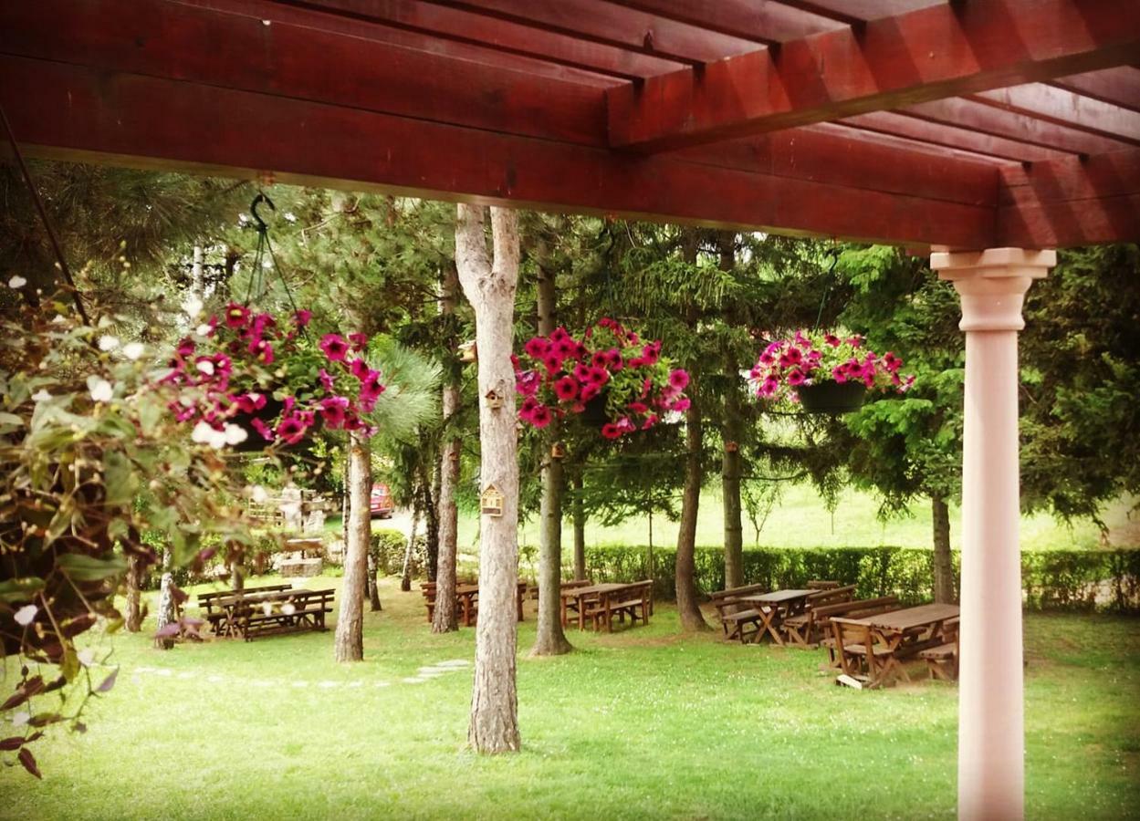 Vila Davidovic-Fruska Gora Mandelos Экстерьер фото