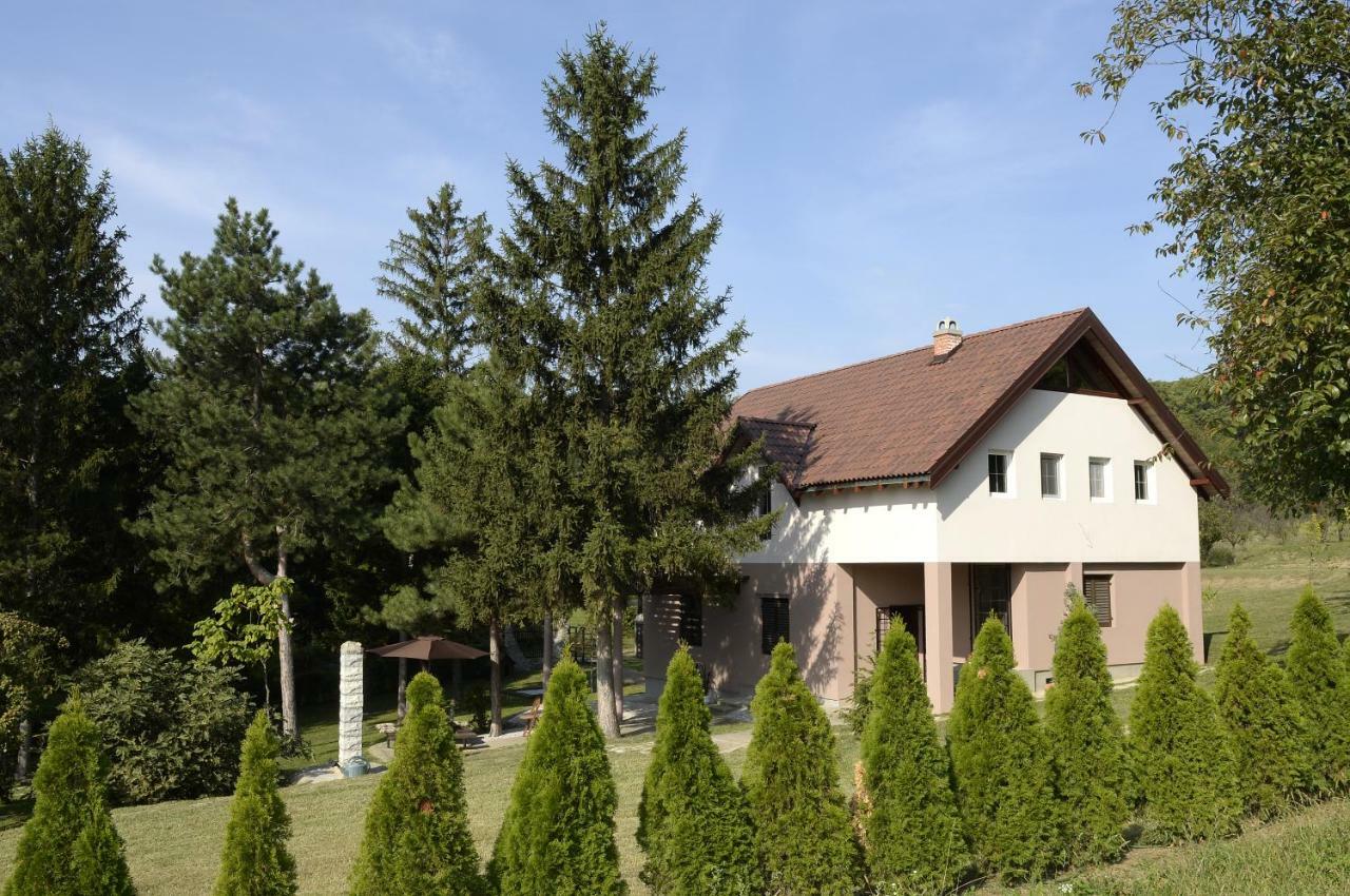 Vila Davidovic-Fruska Gora Mandelos Экстерьер фото