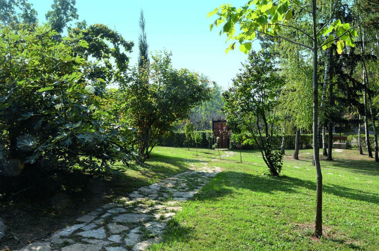 Vila Davidovic-Fruska Gora Mandelos Экстерьер фото