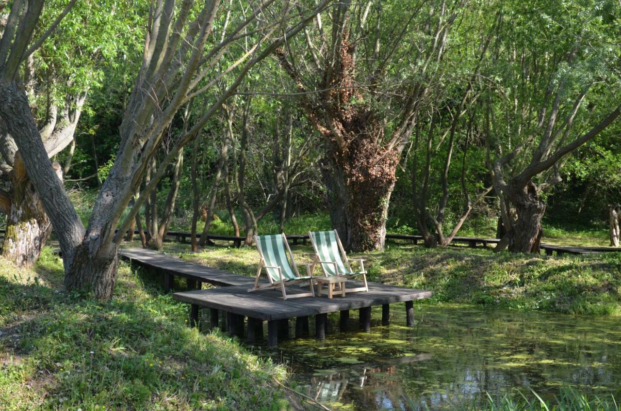 Vila Davidovic-Fruska Gora Mandelos Экстерьер фото