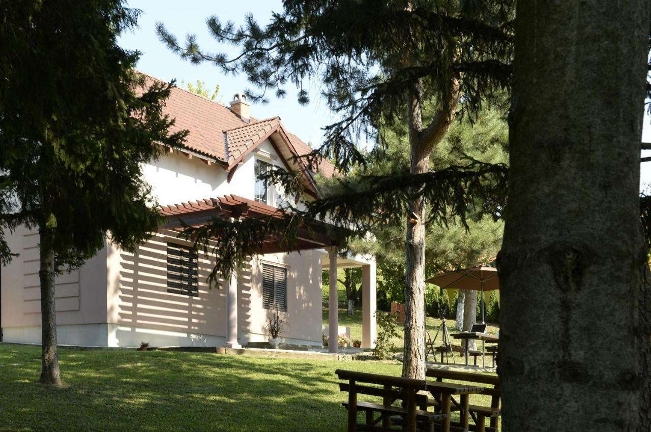 Vila Davidovic-Fruska Gora Mandelos Экстерьер фото