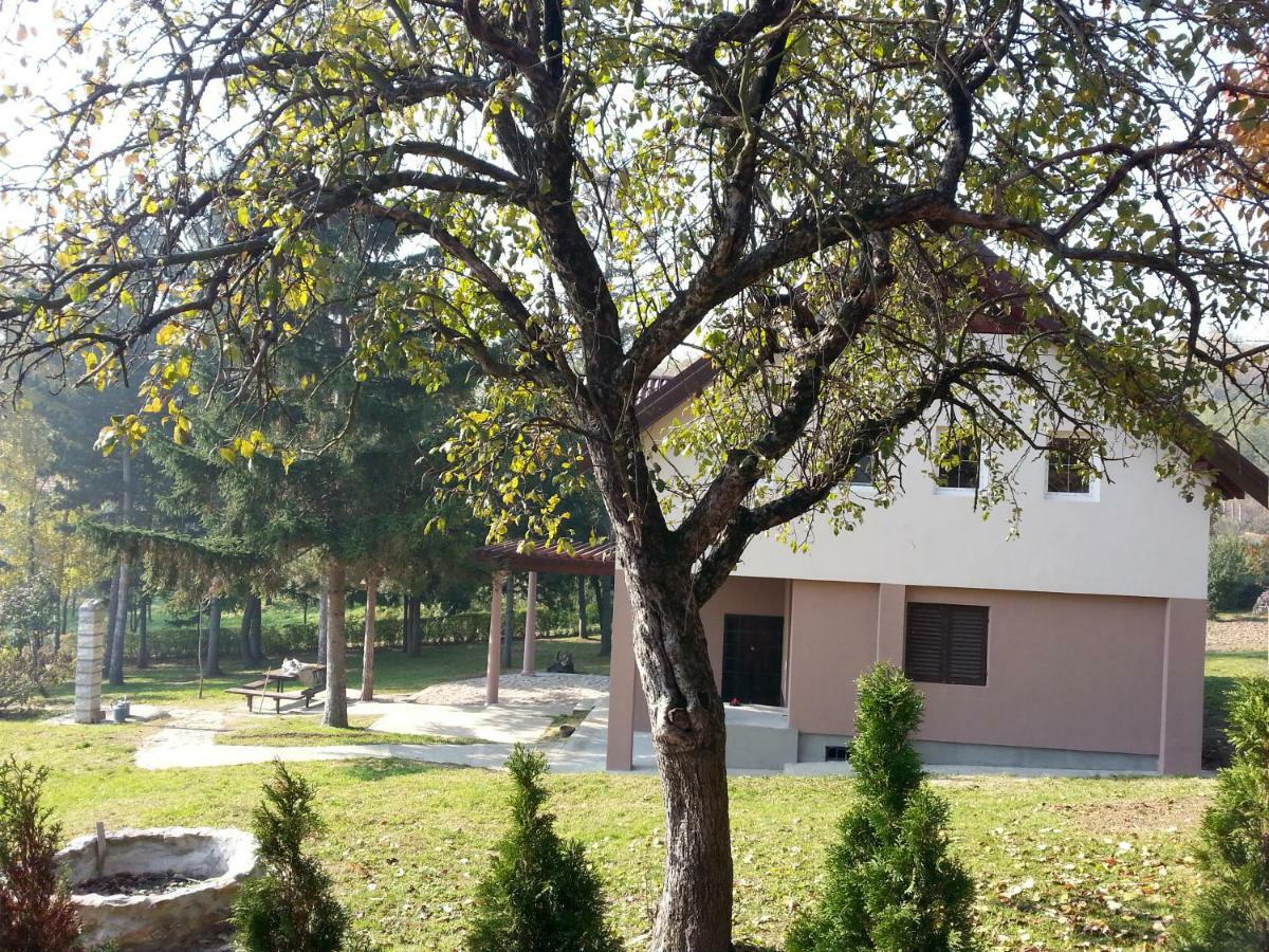 Vila Davidovic-Fruska Gora Mandelos Экстерьер фото
