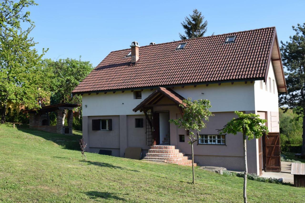 Vila Davidovic-Fruska Gora Mandelos Экстерьер фото