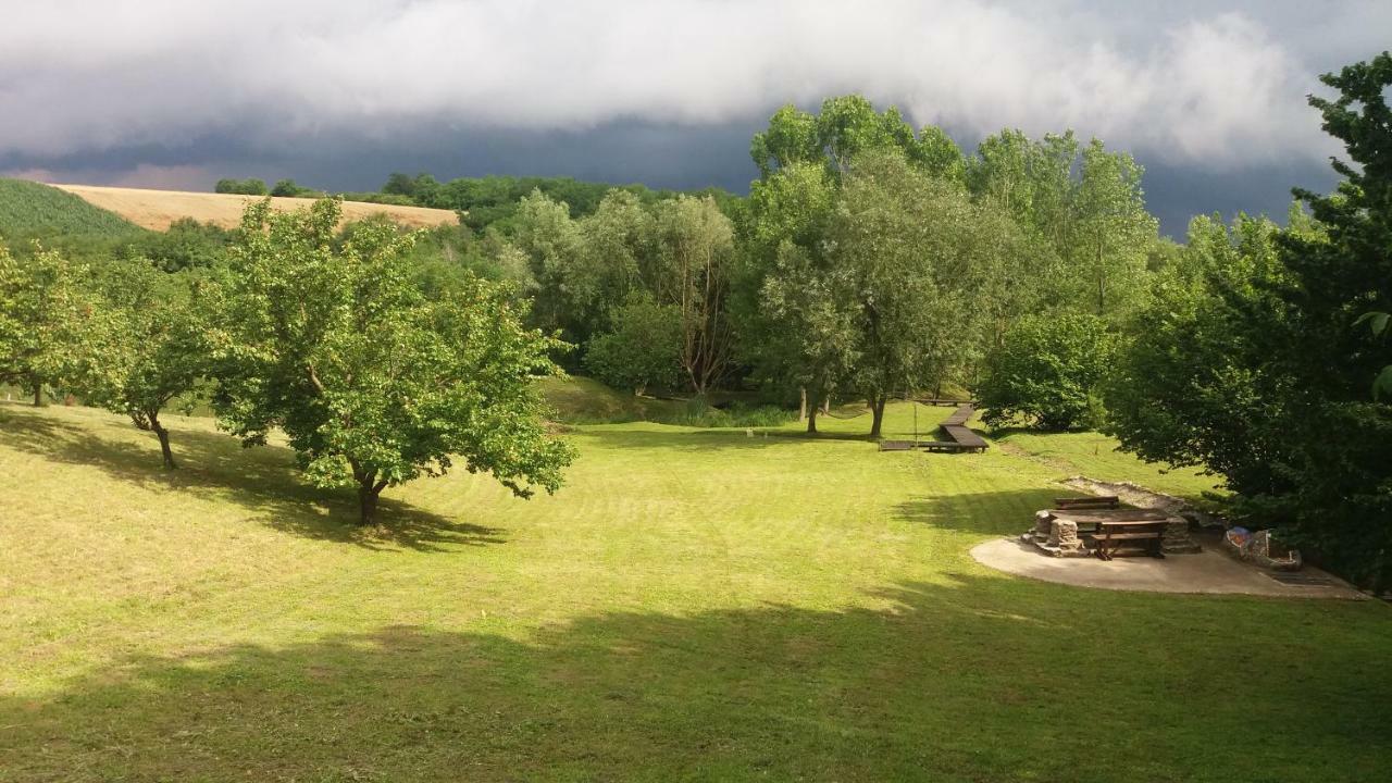 Vila Davidovic-Fruska Gora Mandelos Экстерьер фото